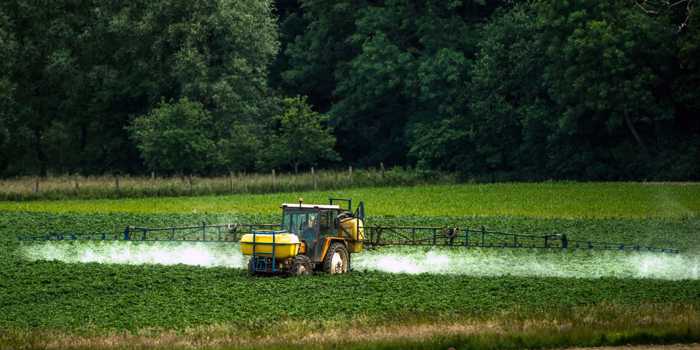 Pesticides dans l’agriculture