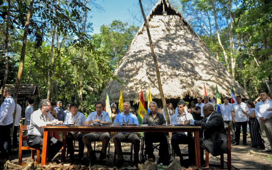 Sept pays s’engagent à protéger l’Amazonie